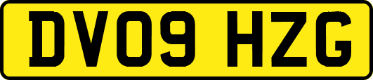 DV09HZG