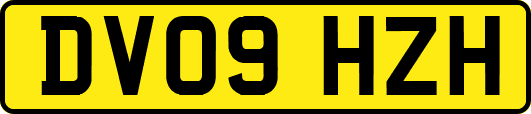 DV09HZH