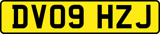 DV09HZJ