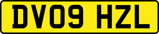 DV09HZL