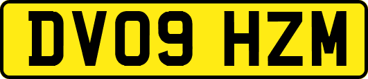 DV09HZM