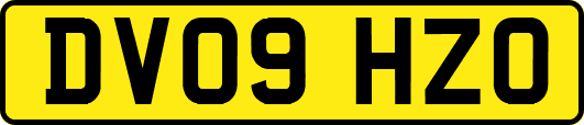 DV09HZO