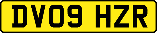 DV09HZR
