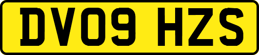 DV09HZS