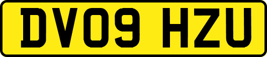 DV09HZU