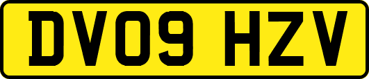 DV09HZV