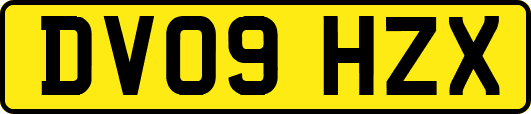 DV09HZX
