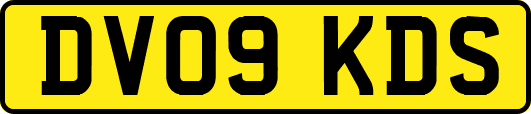 DV09KDS