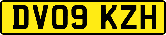 DV09KZH