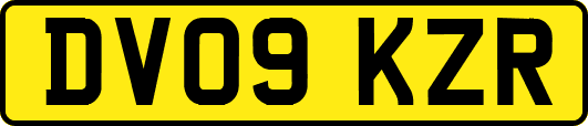 DV09KZR