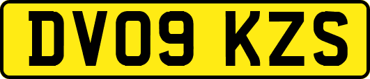 DV09KZS