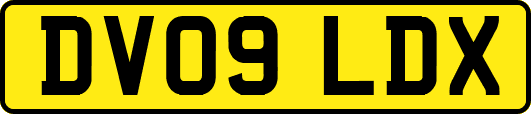 DV09LDX