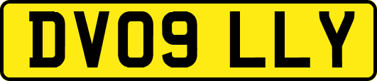 DV09LLY