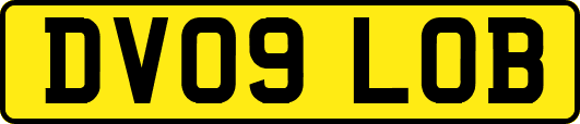 DV09LOB