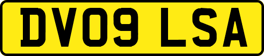 DV09LSA