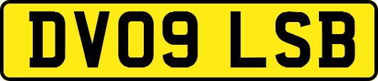 DV09LSB