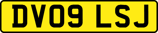 DV09LSJ