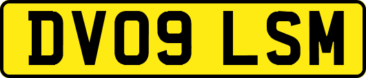 DV09LSM