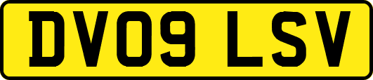 DV09LSV