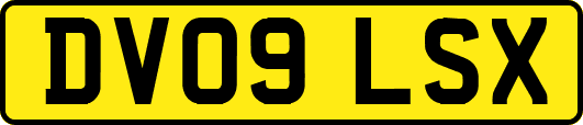 DV09LSX