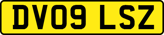 DV09LSZ