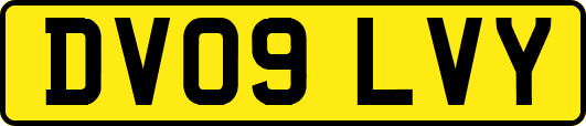 DV09LVY