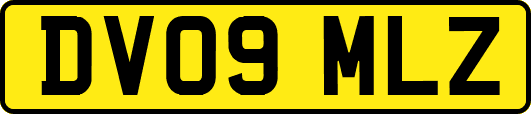 DV09MLZ