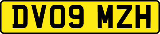 DV09MZH