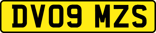 DV09MZS