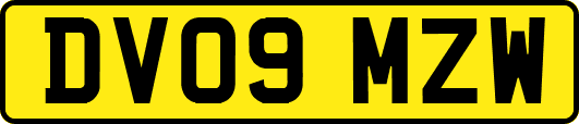 DV09MZW