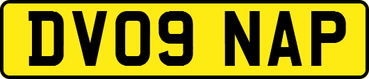 DV09NAP
