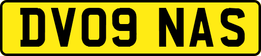 DV09NAS