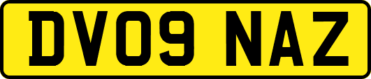 DV09NAZ