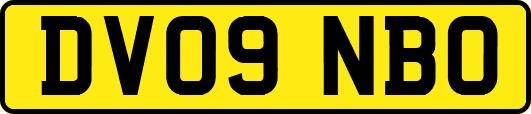 DV09NBO