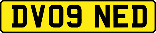 DV09NED