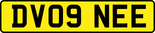 DV09NEE