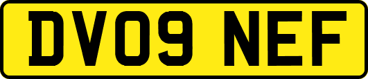 DV09NEF