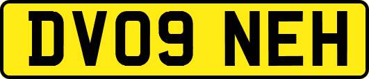 DV09NEH