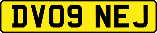 DV09NEJ