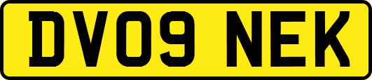 DV09NEK