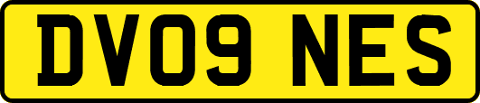 DV09NES