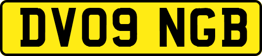 DV09NGB