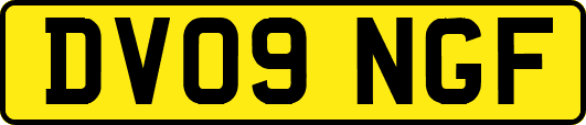 DV09NGF