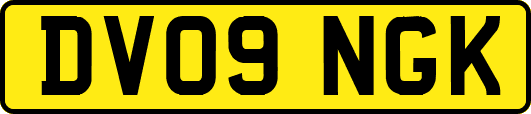 DV09NGK