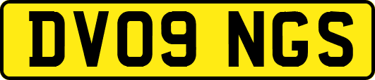 DV09NGS