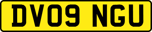 DV09NGU