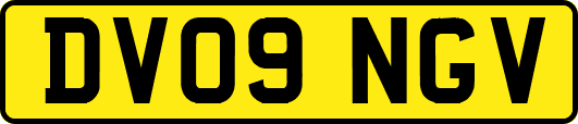 DV09NGV