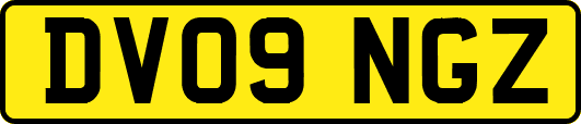DV09NGZ