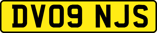 DV09NJS
