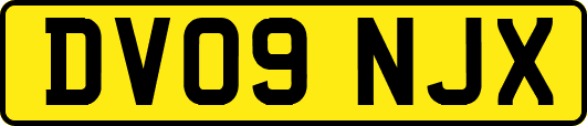 DV09NJX